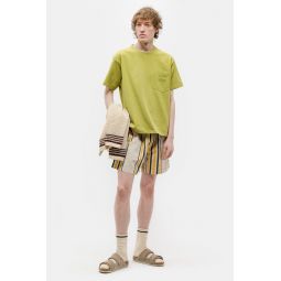 Namesake Stripe Shorts in Ecru/Multicolor