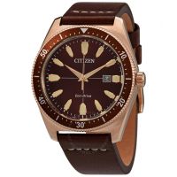 Eco-Drive Brown Dial Brown Leather Mens Watch