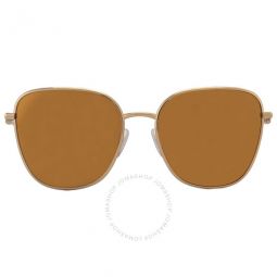 Brown Mirror Gold Butterfly Ladies Sunglasses