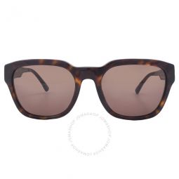 Brown Square Mens Sunglasses