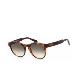 Ferragamo Fashion womens Sunglasses SF1068S-240