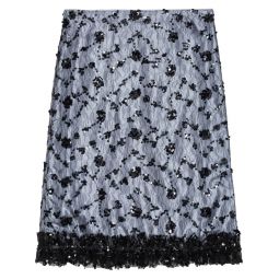 Sequin Lace Skirt