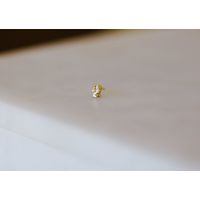 The Breast Earring - Gold