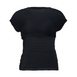 Layered Pleats Pleated Top