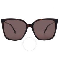 Brown Sport Ladies Sunglasses