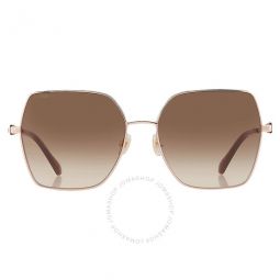 Brown Gradient Butterfly Ladies Sunglasses