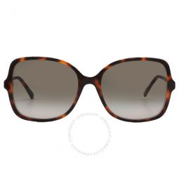 Brown Gradiient Butterfly Ladies Sunglasses