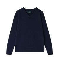 Extrafine Merino Wool V-neck Sweater - Navy