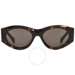 Dark Brown Oval Ladies Sunglasses