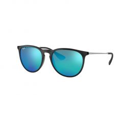 Ray-Ban Erika Classic Sunglasses