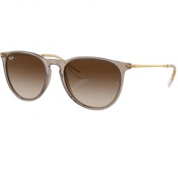 Ray-Ban Erika Classic Sunglasses