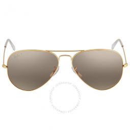 Aviator Chromance Polarized Silver/Brown Unisex Sunglasses