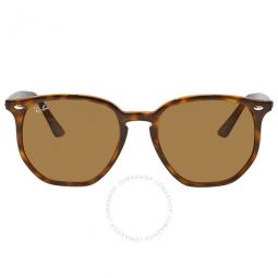 Brown Classic B-15 Hexagonal Unisex Sunglasses