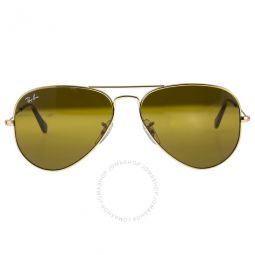 Aviator Classic Brown Classic B-15 Unisex Sunglasses