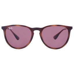 RayBan Erika Copper Dark Violet Classic Round Sunglasses