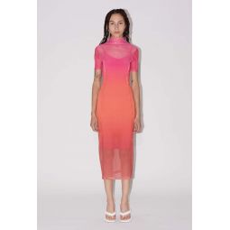 Gradient Mesh Dress