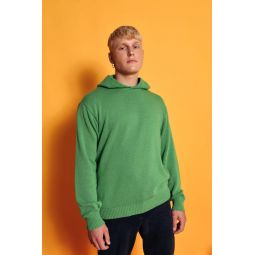 The Knitted Hoodie sweater - green