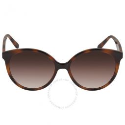 Brown Gradient Round Ladies Sunglasses