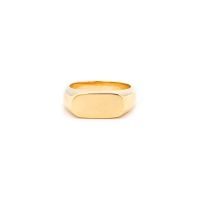 Slim Signet Ring - Gold/Silver/Brass