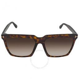 Sabrina Grey Gradient Browline Sunglasses