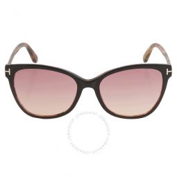 Ani Pink Gradient Cat Eye Ladies Sunglasses