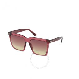 Sabrina Bordeaux Gradient Square Ladies Sunglasses