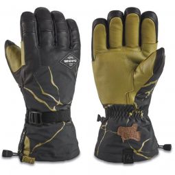 DAKINE Team Phoenix GORE-TEX Gloves - 2023 - Mens