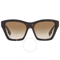 Arden Brown Gradient Butterfly Ladies Sunglasses