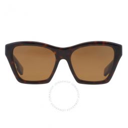 Arden Polarized Brown Cat Eye Ladies Sunglasses