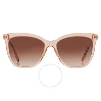 Clare Brown Gradient Butterfly Ladies Sunglasses