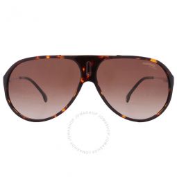 Brown Shaded Pilot Unisex Sunglasses