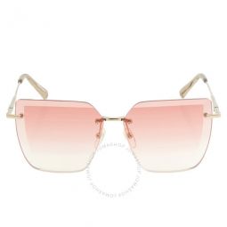 Pink Gradient Butterfly Ladies Sunglasses