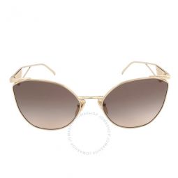 Brown Gradient eray Irregular Ladies Sunglasses