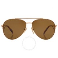 Dark Brown Pilot Ladies Sunglasses