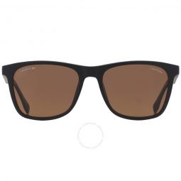 Brown Square Mens Sunglasses