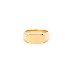 Slim Signet Ring - Gold/Silver/Brass