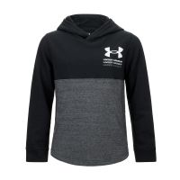 Under Armour Boys Spring Rival Hoodie