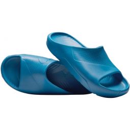 Nike Meninchs Running Shoe, 11, Industrial Blue