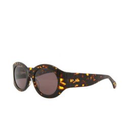 Alaia Novelty womens Sunglasses AA0047S-30010137-002