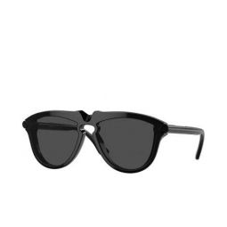 Burberry Fashion mens Sunglasses BE4417U-300187-58