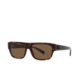 Dolce & Gabbana Fashion mens Sunglasses DG4455-502-73-57