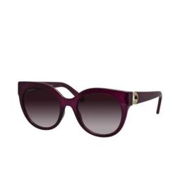 Ferragamo Fashion womens Sunglasses SF1031S-513