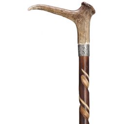 Spiral Carved Stag Horn Handle Walking Stick, Silver Collar 42