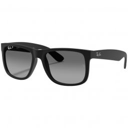 Ray-Ban Justin Classic Matte Black Sunglasses - Polarized Light Grey Lens