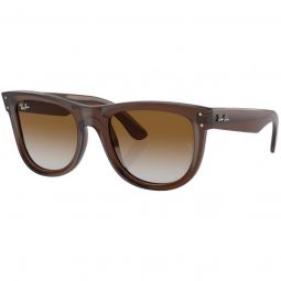 Ray-Ban Wayfarer Reverse Polished Transparent Brown Sunglasses - Brown Lens