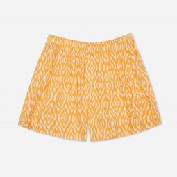 Druthers ikat boxers