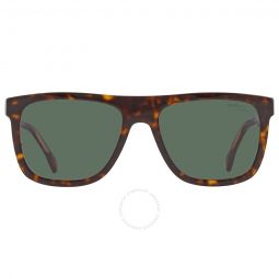Green Browline Mens Sunglasses