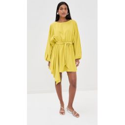 Naila Mini Dress