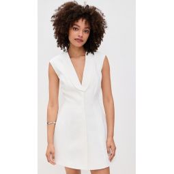 Destene Hourglass Mini Dress