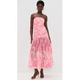 Solana Printed Mesh Dress